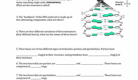 Dna Practice Worksheet Biology Answer Key