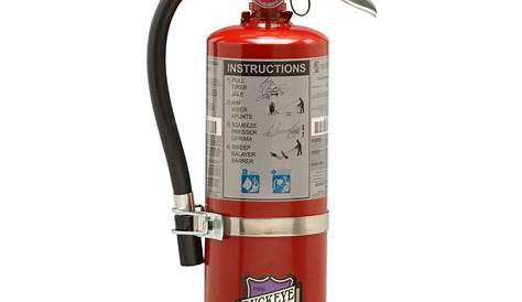 Buckeye 5 lb. Purple K Dry Chemical BC Vehicle Fire Extinguisher