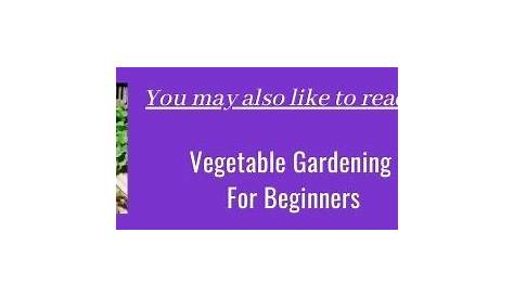 vegetable fertilizer guide pdf