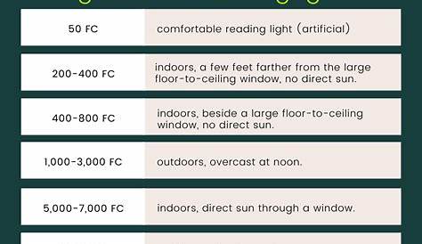 Indoor light for Houseplants: An Engineer’s Perspective - gardenstead