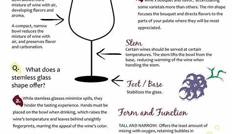 when to drink wine chart