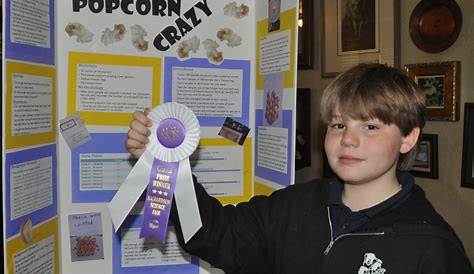 10 Awesome Science Fair Ideas For 5Th Grade 2024