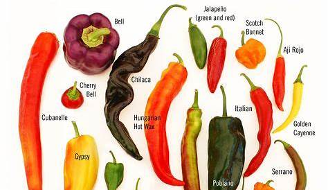 Hot Pepper Picture Chart | Sweet to Heat: A Guide to Picking