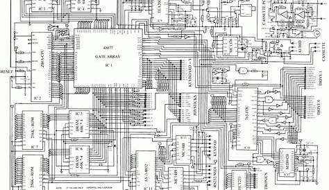 The Trenches of Discovery: The human machine: circuits and wires