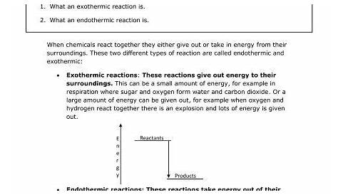 exothermic vs endothermic reaction worksheet