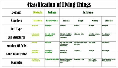 Pin by Cynthia Williford on #postgradlife | Classification of living