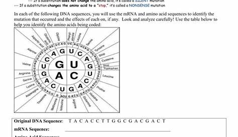 gene mutations worksheets answers