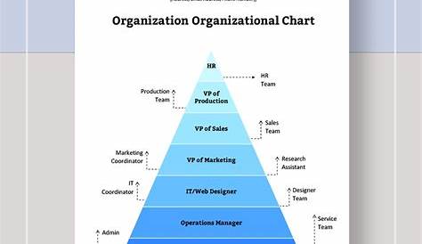 home care agency organizational chart