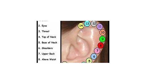 ear piercings healing chart