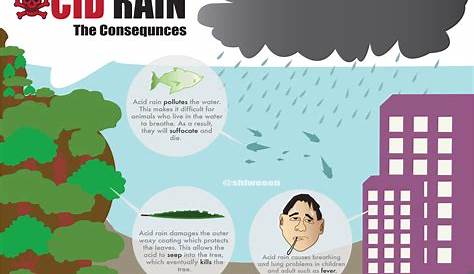 which statements are true about acid rain