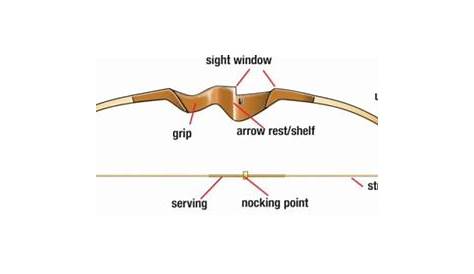 Best survival bow – The Prepared