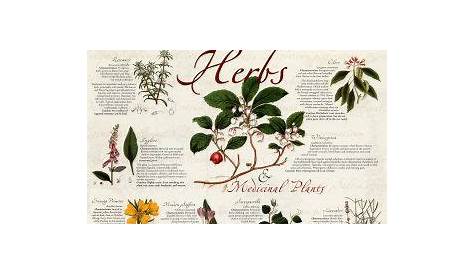 printable herbal tea benefits chart