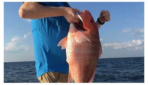 fishing charters in destin florida area