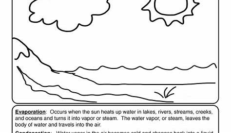 Water Cycle Worksheet | Have Fun Teaching