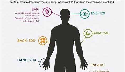 PPD Ratings: Schedule of Weeks [Infographic] | Cranfill Sumner
