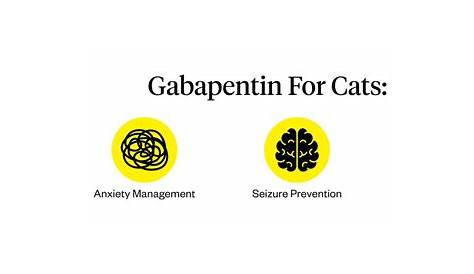 Gabapentin For Cats: Uses, Dosage & Side Effects | Dutch