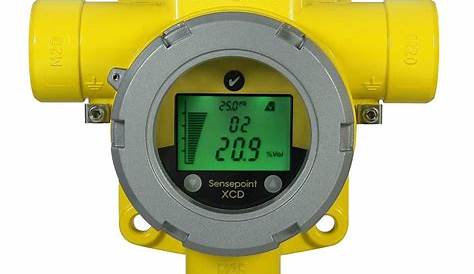 Natural Gas LPG Honeywell Gas Detector, for Gas Detection, Rs 46500