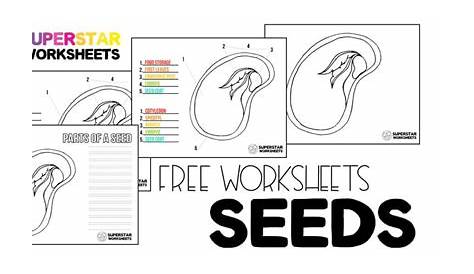 seed worksheets