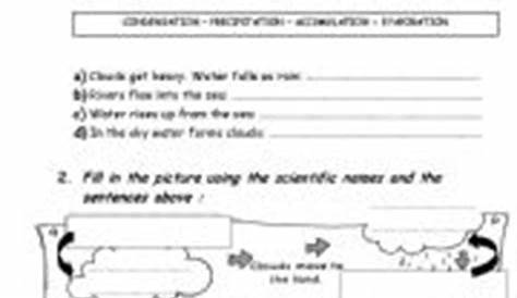 12 Best Images of Matching The Water Cycle Worksheets - Water Cycle