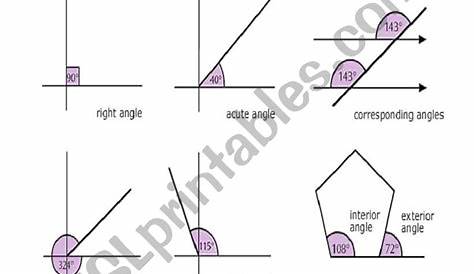 types of angles worksheets