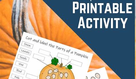 Parts of a Pumpkin Printable Activities for Preschool and Kindergarten