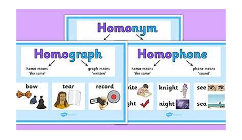 homophones homographs and homonyms worksheets