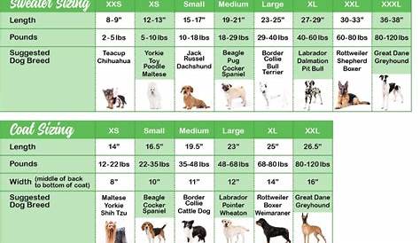 dog clothes size chart - Google Search | Chilly dogs, Dog sweaters, Dogs