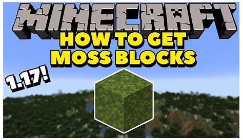 How to GET Moss Blocks In Minecraft 1.17! | Minecraft 1.17 Tutorials
