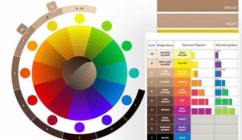 the hair colour wheel is a hair colour chart that determines which