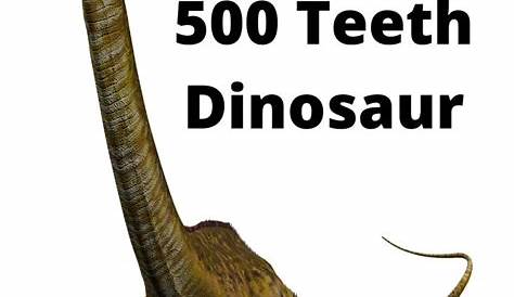 Nigersaurus - 500 Teeth Dinosaur Facts | Dinosaur facts, Dinosaur