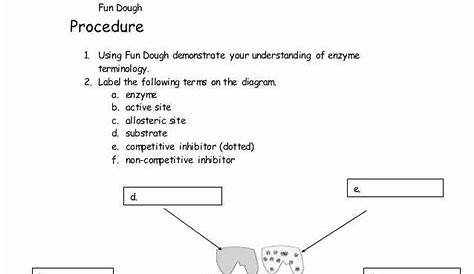 50 Enzyme Reactions Worksheet Answers