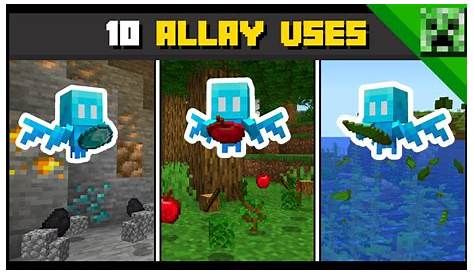 10 Best ALLAY USES in Minecraft 1.19! - The Wild Update - YouTube