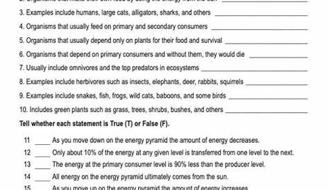 Energy Pyramid, Free PDF Download - Learn Bright