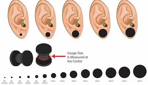 Ear Gauge Size Chart Actual Size Ear Chart • Plug | Dog Breeds Picture