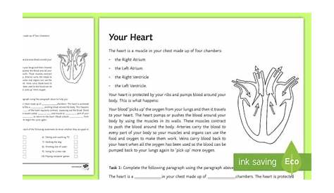 Your Heart Worksheet / Worksheet (Teacher-Made) - Twinkl