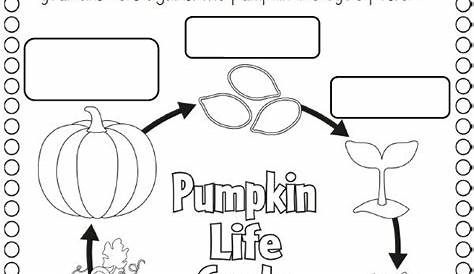 printable life cycle of a pumpkin