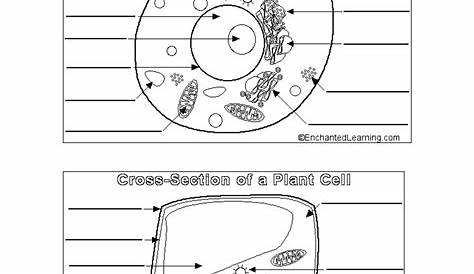 13 Best Images of Plant Coloring Worksheets - Animal Cell Coloring