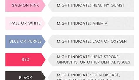 horse gum color chart