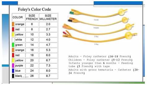 foley catheter french size chart