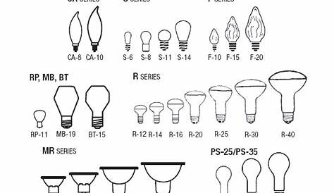 Light Bulb Base Sizes – Lights Plus