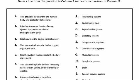 human body interactive worksheet - class 3 science worksheet on human
