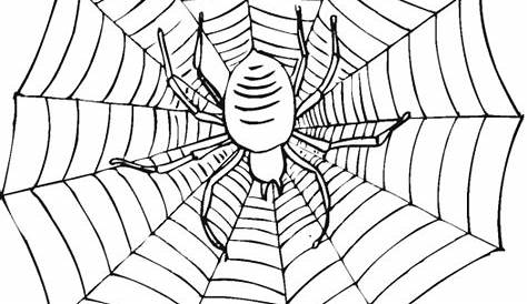Coloring Pages Spider Web : Free Printable Spider Web Coloring Pages