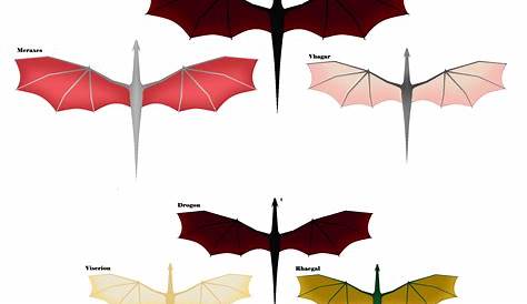 house of the dragon dragons size chart