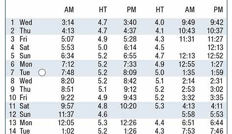 folly beach tides chart