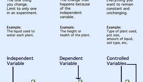 Variables - Year 7 Science