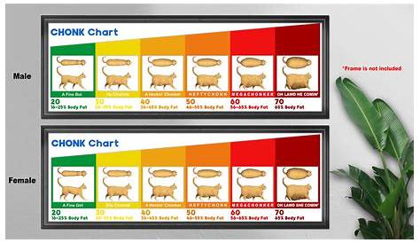 Cat Fat Chart | ubicaciondepersonas.cdmx.gob.mx