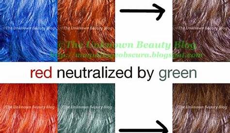 color correction hair chart - Cassaundra Champagne
