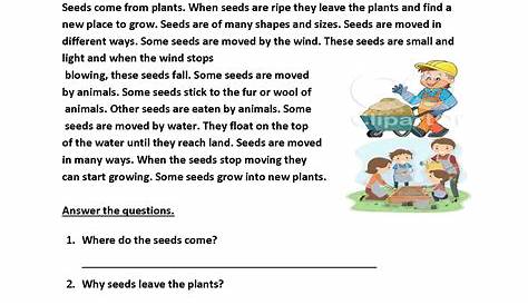 17+ Reading Comprehension Worksheets For 2Nd Grade Images – Rugby Rumilly