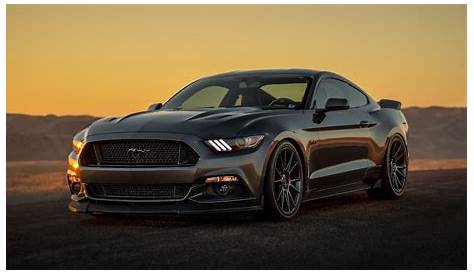 Gray Mustang Colors - The Ultimate Guide