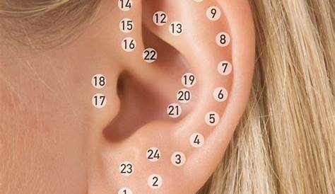 Places To Get Your Piercings On Your Ear Piercings Ear - Edeline Ca